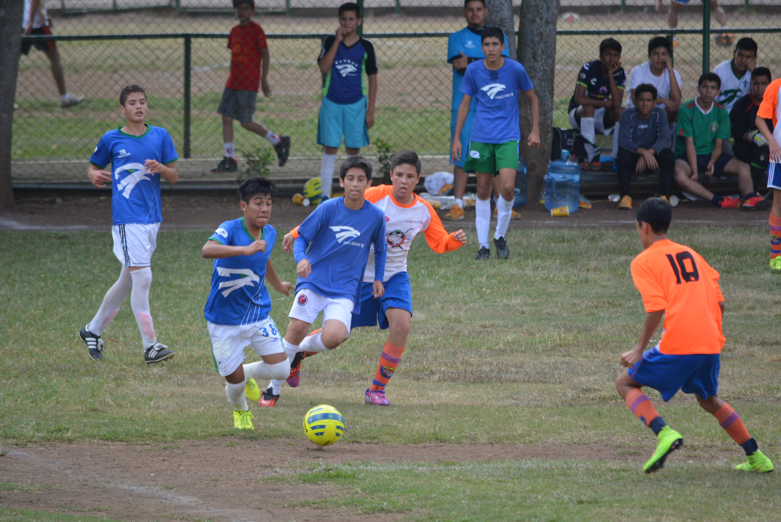 LIGA DE FUTBOL JUVENIL NACIONAL liga de futbol juvenil nacional: