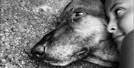 Día Mundial de los animales, fecha para hacer conciencia a favor de las especies