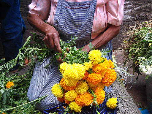 Floristas auguran buenas ventas este fin de semana