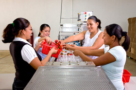 Empleo Temporal beneficiará a damnificados en Pánuco