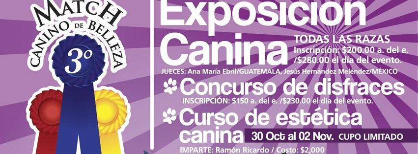 Tercer Match Canino de Belleza fomenta cultura por el respeto animal