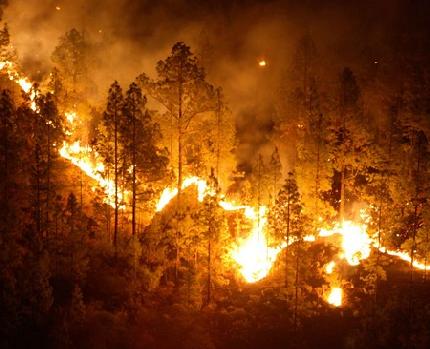 En 2019, 202 incendios afectaron más de 11 mil hectáreas en Veracruz