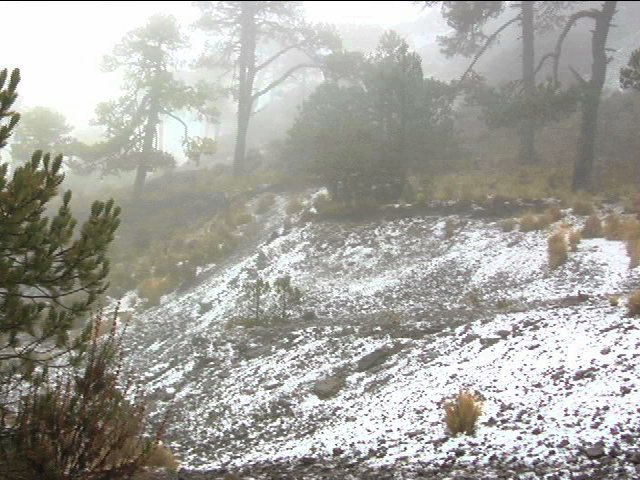 Esperan la primera nevada en el Cofre de Perote