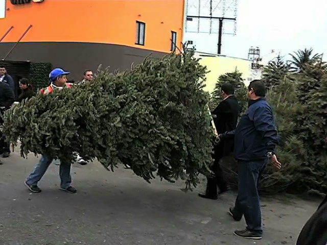 Inicia el programa “Recicla tu Navidad”