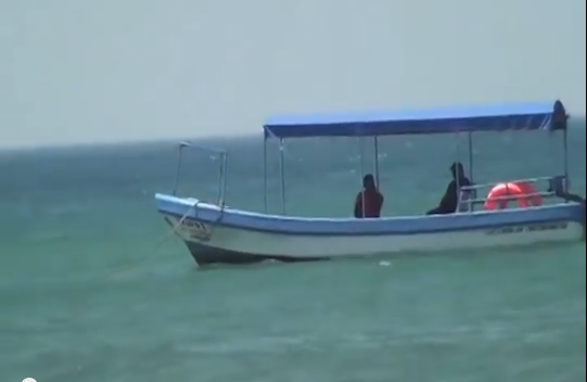 Por baja demanda, descienden precios de productos marinos en Veracruz