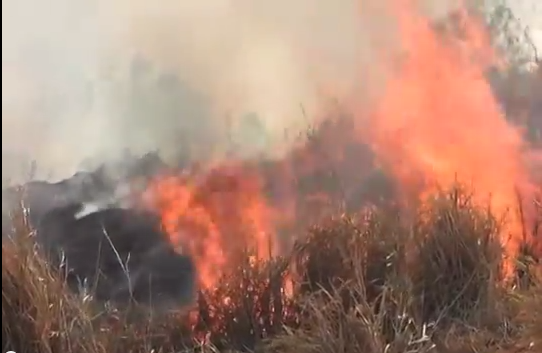 Durante el fin de semana se registraron cerca de 10 incendios en pastizales de la Región Sur.