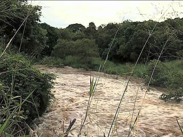 Niveles de los ríos se incrementaron por fuertes lluvias; ninguno ha desbordado