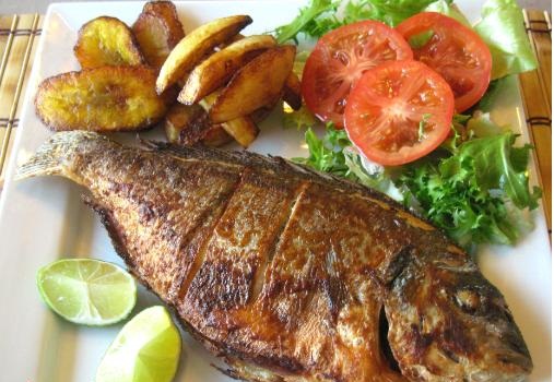 Invitan al tradicional Festival de la Mojarra en Chachalacas