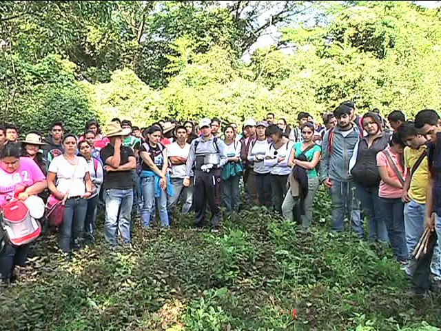 Siembran estudiantes más de 60 árboles del bosque mesófilo de montaña