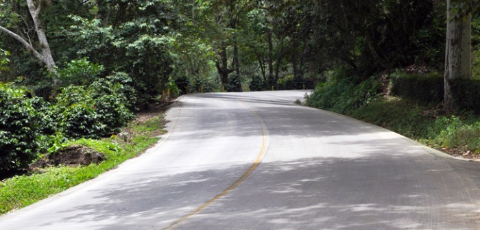 Sin reporte de daños en infraestructura carretera por Dolly
