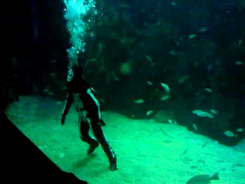 Regresa la calaca bailarina al Acuario de Veracruz