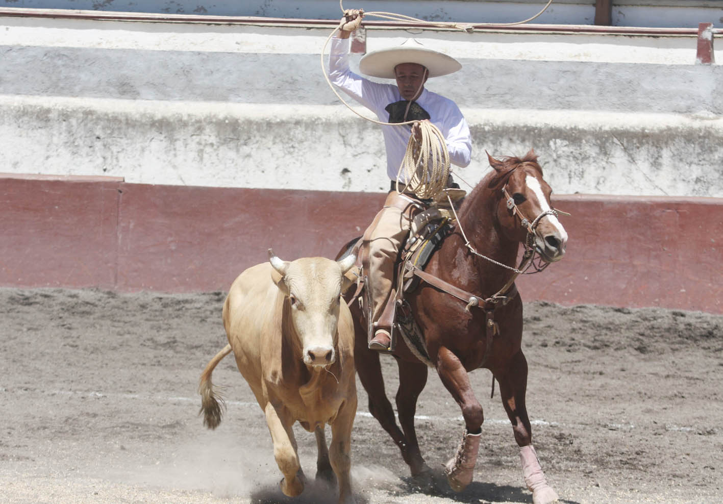El tenor Armando Mora, en el cierre del Festival de las Flores, Xalapa llena de luz