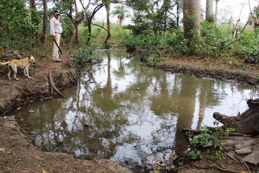 Refresquera causa daños ambientales, acusan vecinos de Paso del Toro