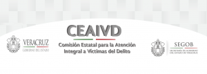 Centro Estatal de Atención a Víctimas es desconocido por los veracruzanos: Minerva Cobos
