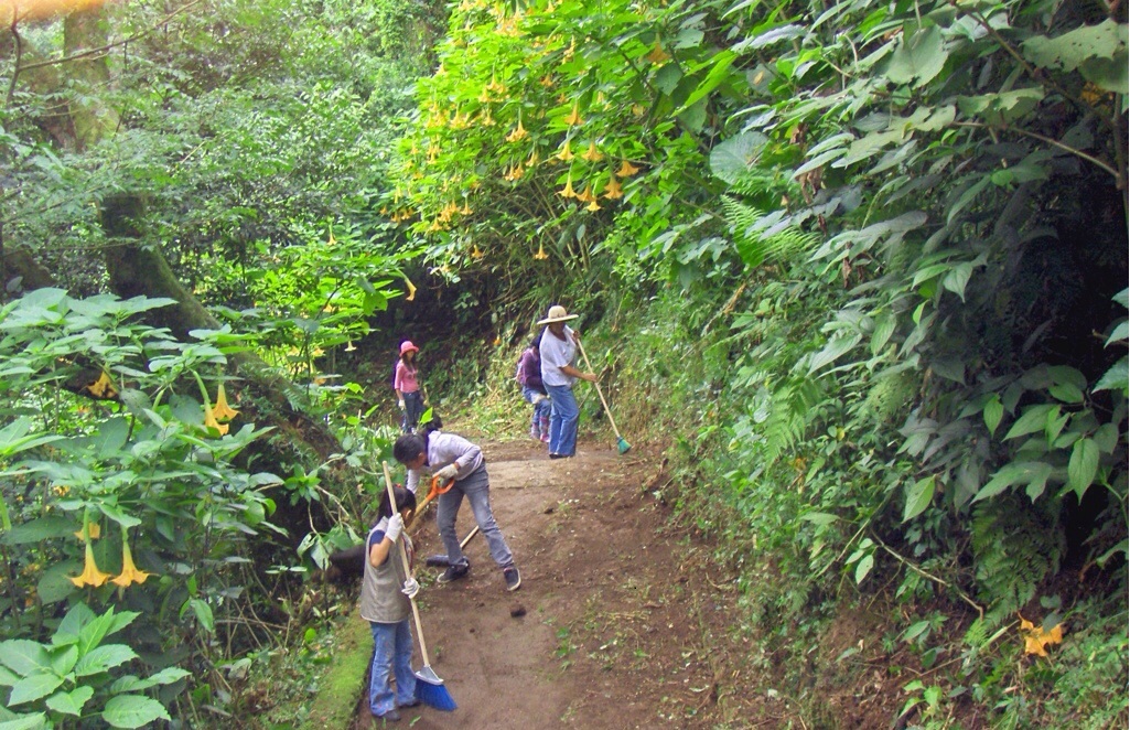 No se permitirá invasores de áreas verdes en Xalapa