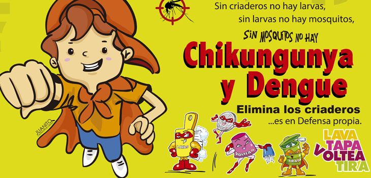 Lucha contra dengue y chikungunya, un trabajo corresponsable: SS