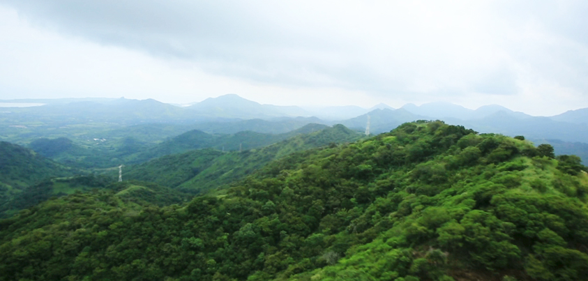 Veracruz, líder en educación ambiental a través del Corredor Ecológico de la Sierra Madre Oriental