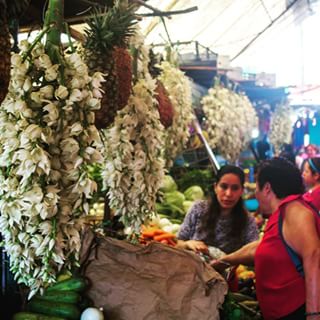 Con danza, música y foto celebran los 70 años del mercado municipal de Coatepec