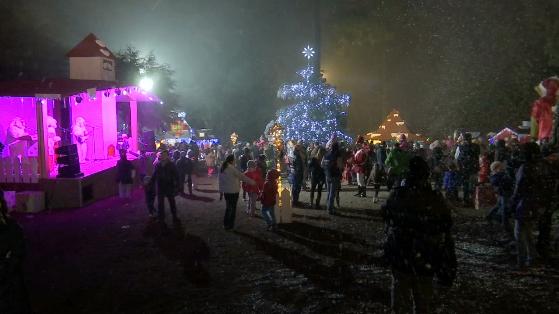 Llega la magia de la Navidad al bosque del Ciclo Verde