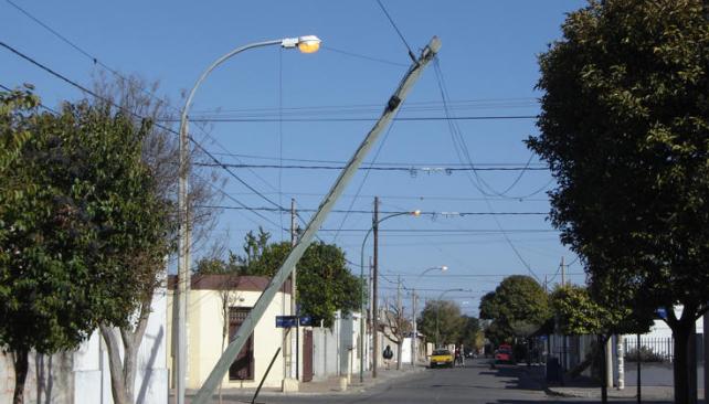 Empresas de telefonía dañan árboles de Xalapa: Inecol