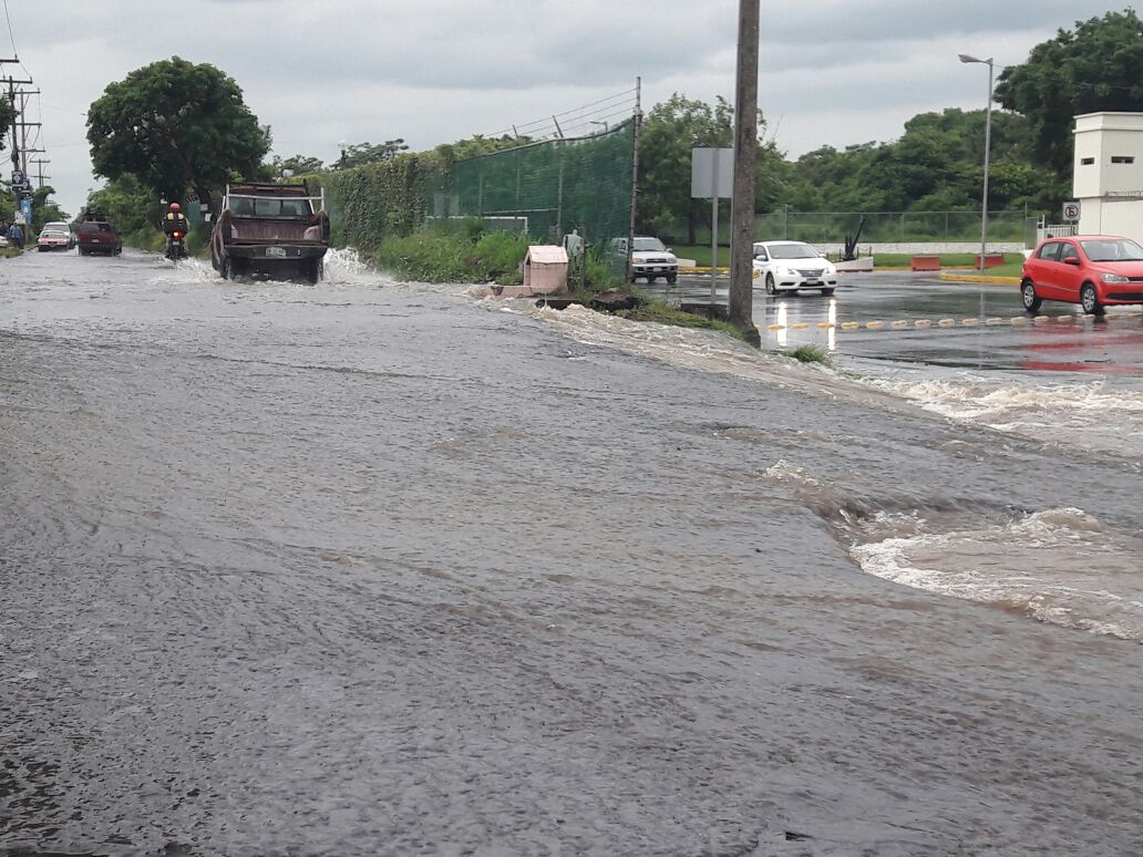 Basura en alcantarillas, principal causa de inundaciones en el puerto de Veracruz: PC