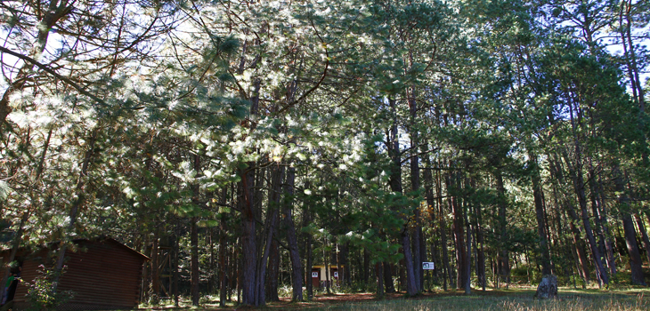 Área natural protegida San Juan del Monte, riqueza ecosistémica y gran potencial turístico