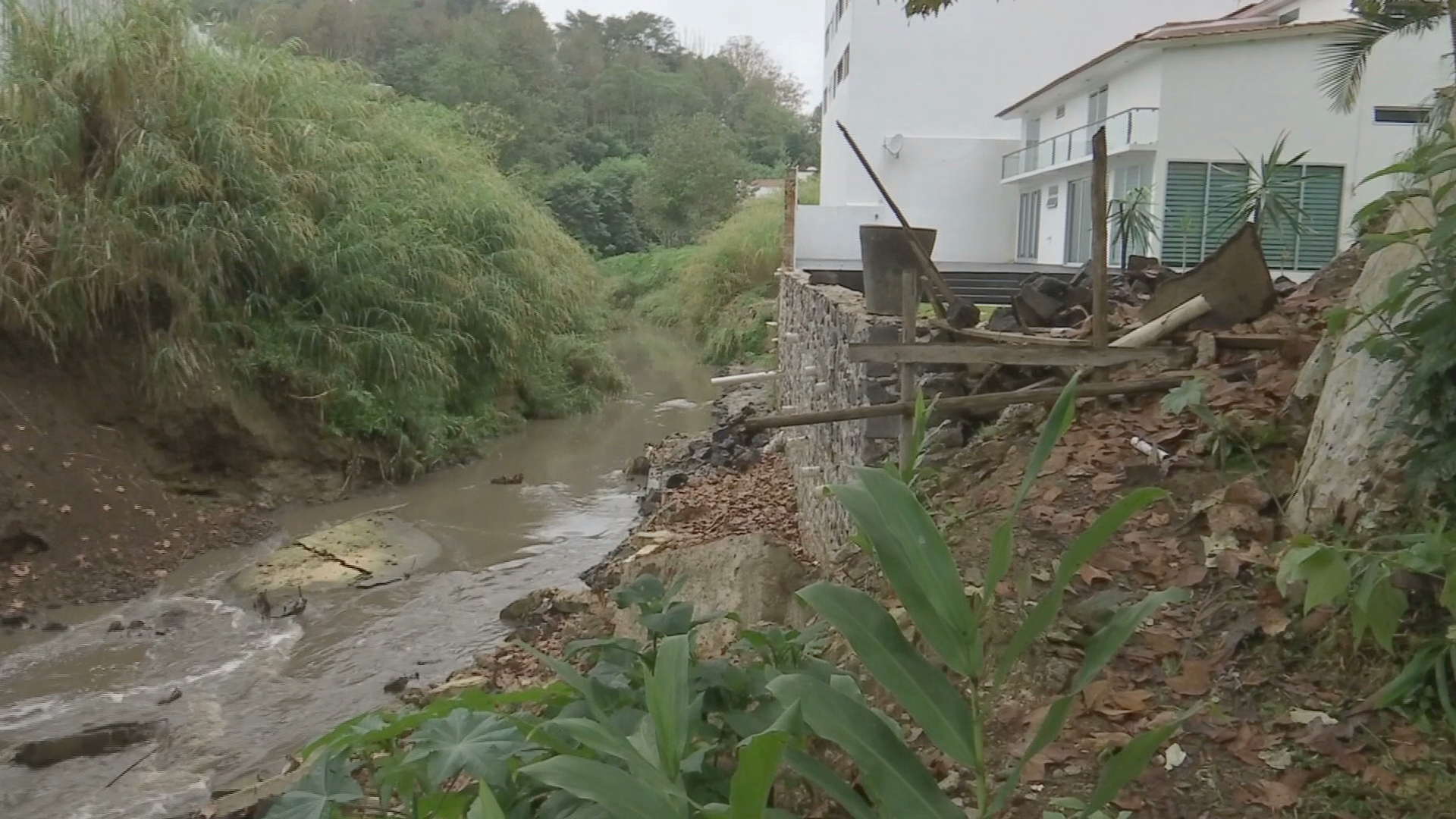 Quesería “Le Blanc” niega contaminar al río Sordo