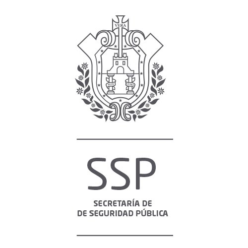 Detiene Grupo de Coordinación Veracruz a banda de secuestradores
