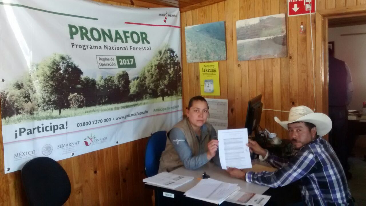 Hasta el viernes, Pronafor recibirá solicitudes de apoyo para conservación de suelos