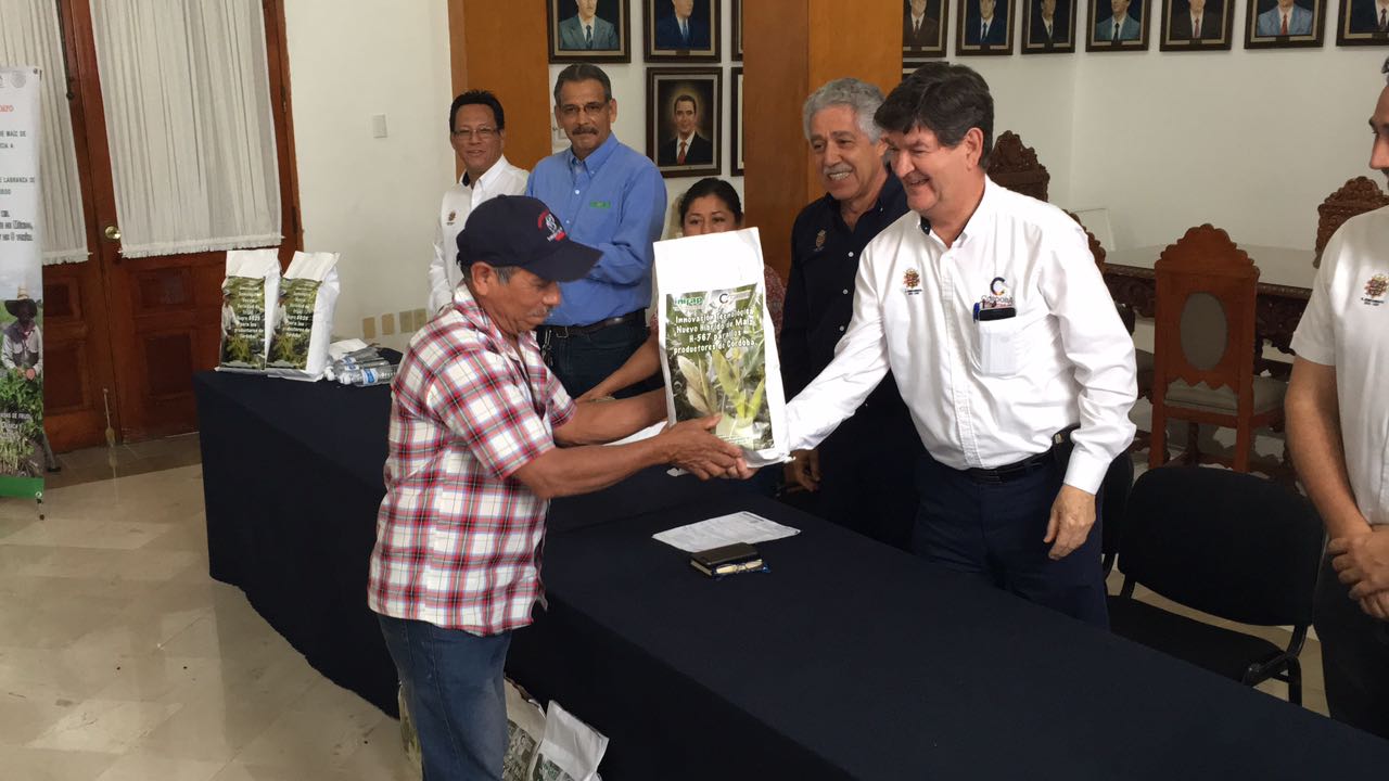 Entregan semillas a cafetaleros de Córdoba para aumentar su productividad