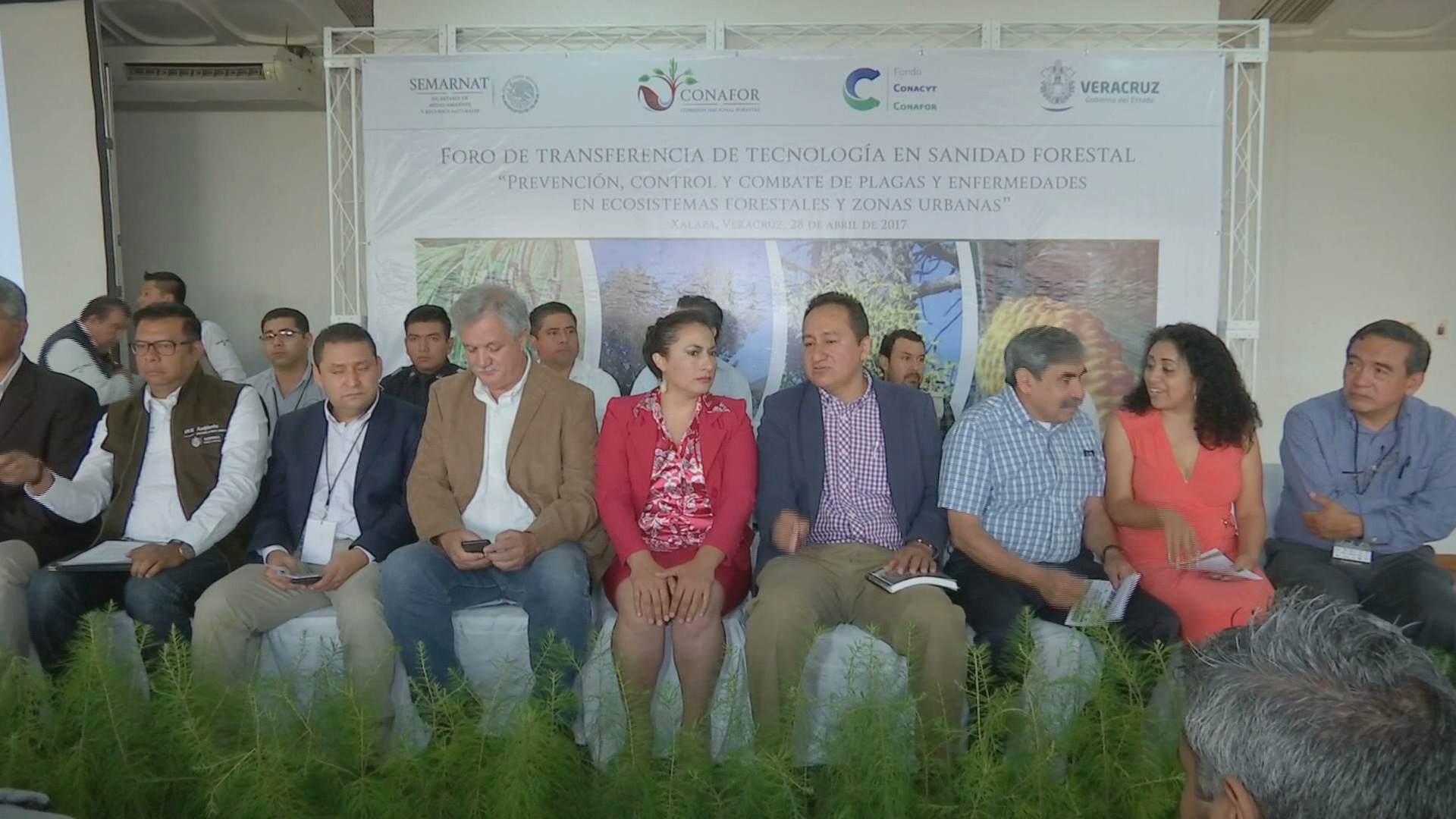 Realizan el Foro de Transferencia de Tecnología en Sanidad Forestal en Xalapa