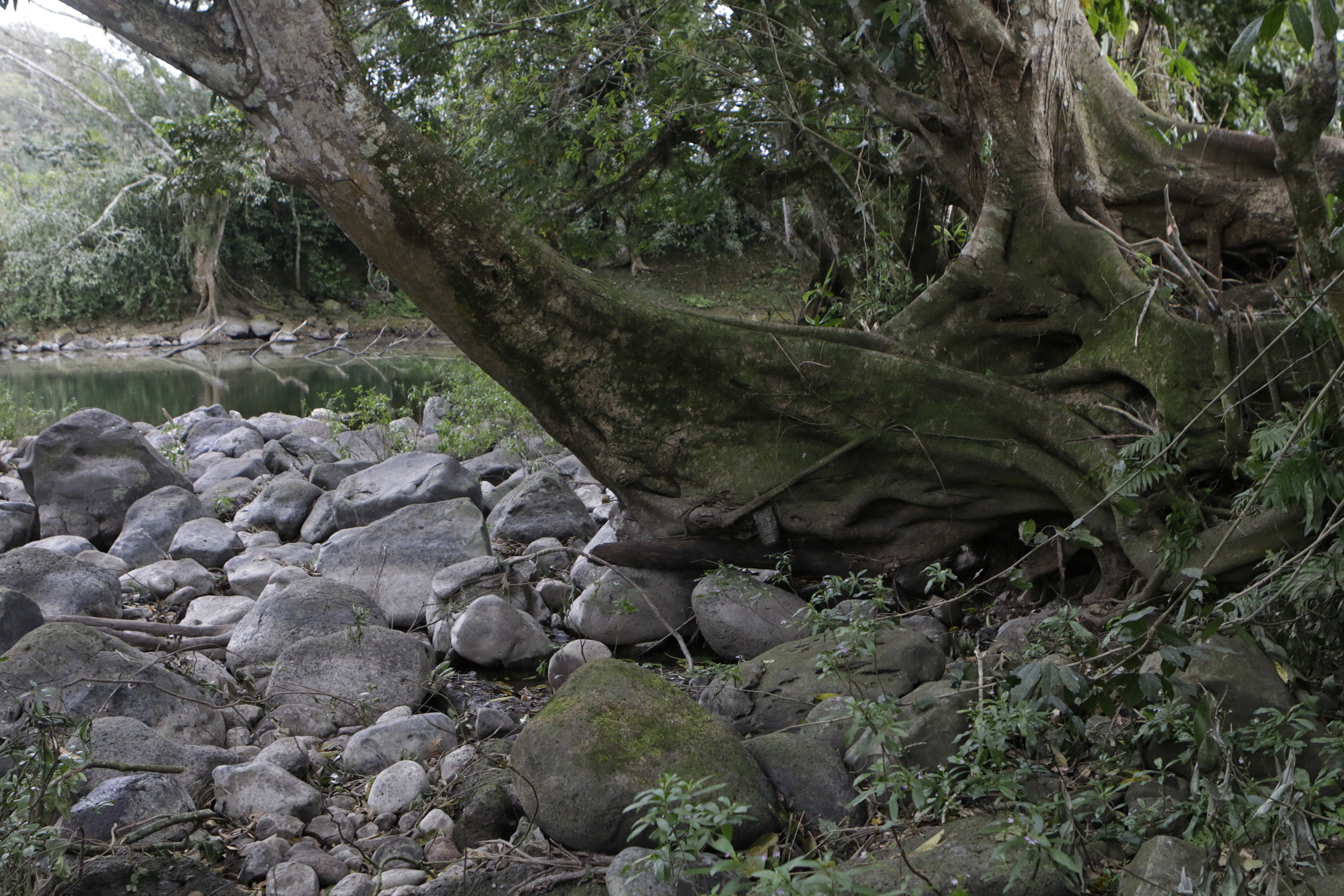 Conagua registra este año como de los más cálidos desde 1981, y el más seco en cuanto a lluvias