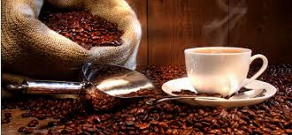 Cafetaleros de Córdoba incursionan en la producción de café diferenciado