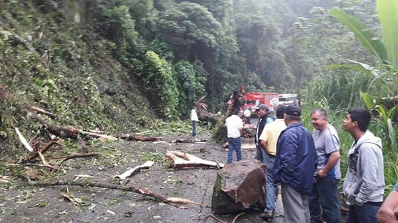 En Teocelo, lluvias benefician cultivos de café, bambú y azúcar; también provocan deslaves