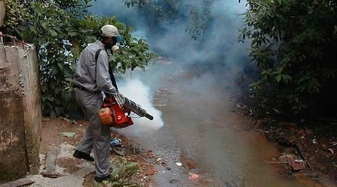 Analiza Sesver muertes para precisar su relación con el dengue