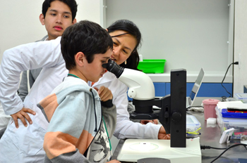 Semillero de Premios Nobel espacio para niños y jóvenes con interés en la ciencia