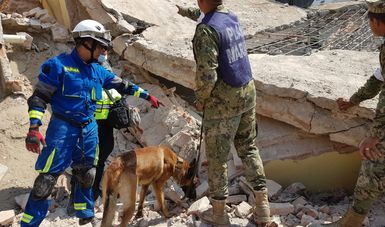 Realiza Marina acciones de búsqueda de personas en estructuras colapsadas