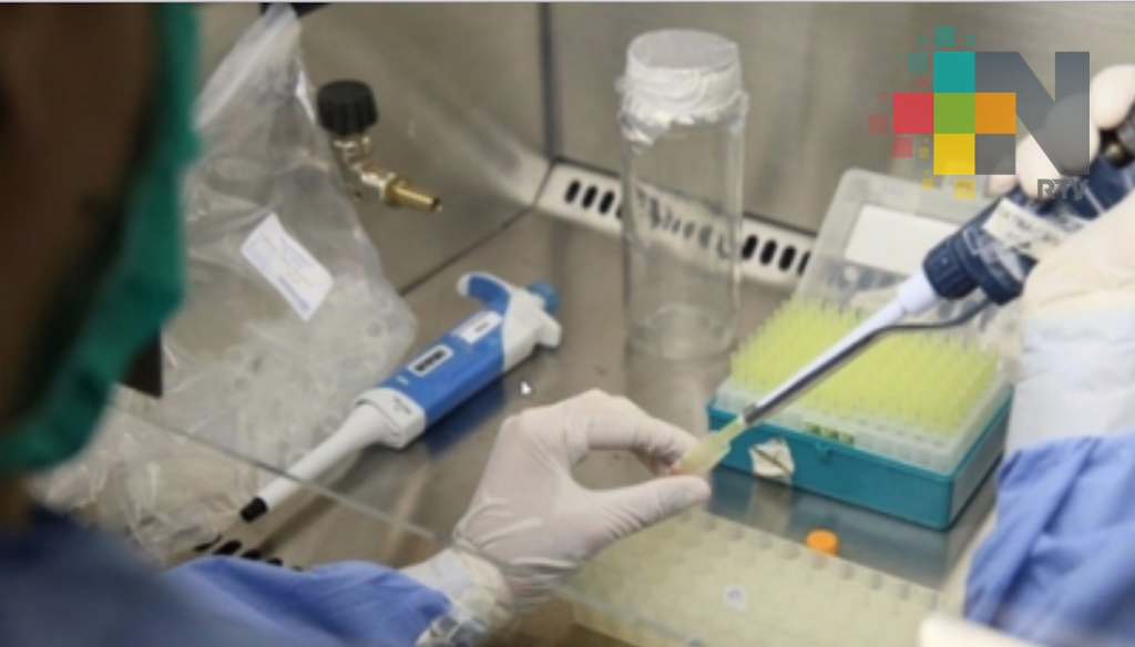 Investigadores descubren proteína que retrasa envejecimiento