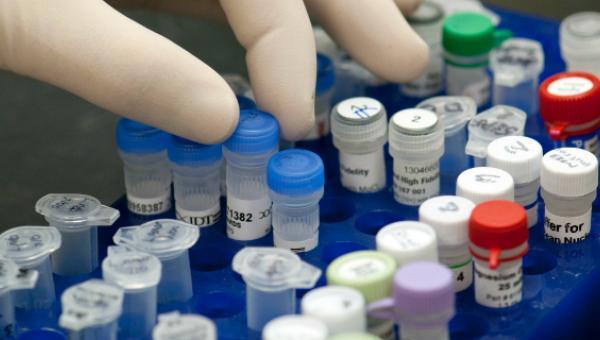 En 2018 habrá medicamentos para tratar cáncer, esclerosis y hemofilia