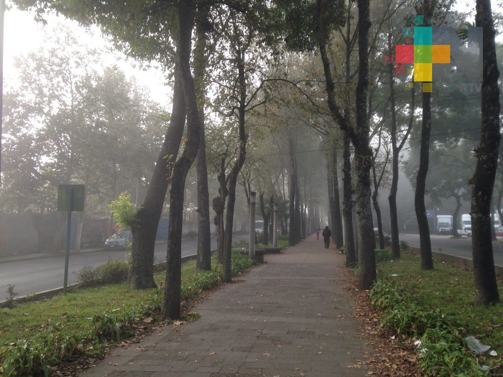 Potencial de lluvias disminuirá, se mantendrá ambiente cálido