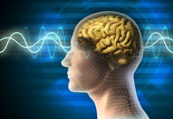 Existen 65 millones de personas en el mundo con epilepsia