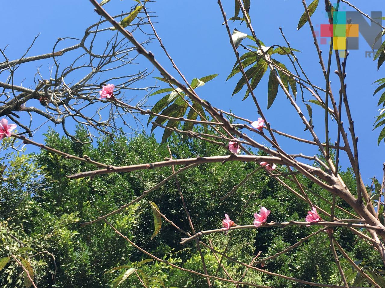 Cielo medio nublado con ambiente diurno caluroso en costas; posibles lluvias en zona montañosa