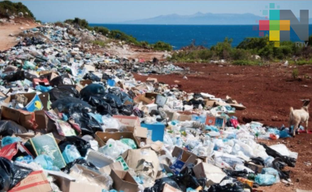 Investigadora identifica bacteria que produce plástico biodegradable