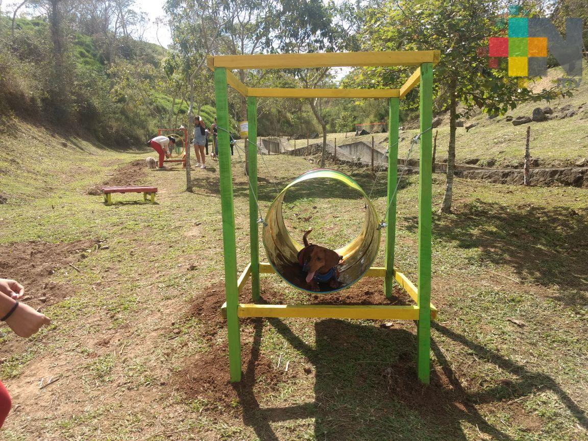 Abren Parque Canino La Pradera en Xalapa