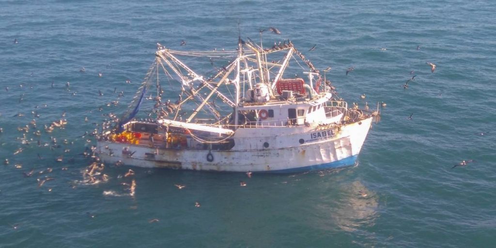 Gobierno federal reforzará vigilancia en el Alto Golfo de California