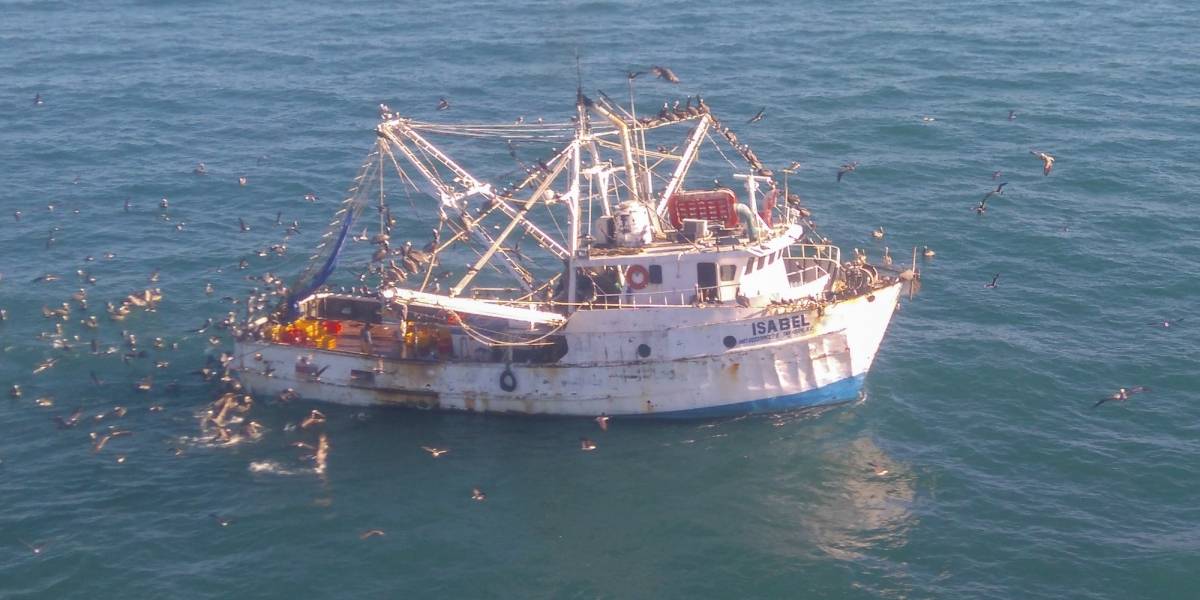 Gobierno federal reforzará vigilancia en el Alto Golfo de California