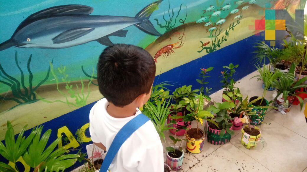 DIF de Coatzacoalcos atiende diariamente tres casos de custodia de hijos