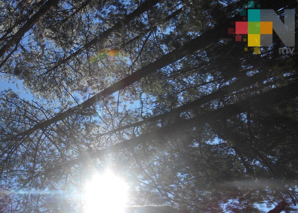 Viernes cálido y bochornoso en Veracruz con índices de calor elevados; probabilidad de lluvias por la tarde