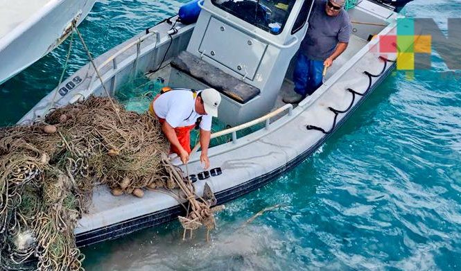 Extraen redes “fantasma” en el polígono de protección de la vaquita marina
