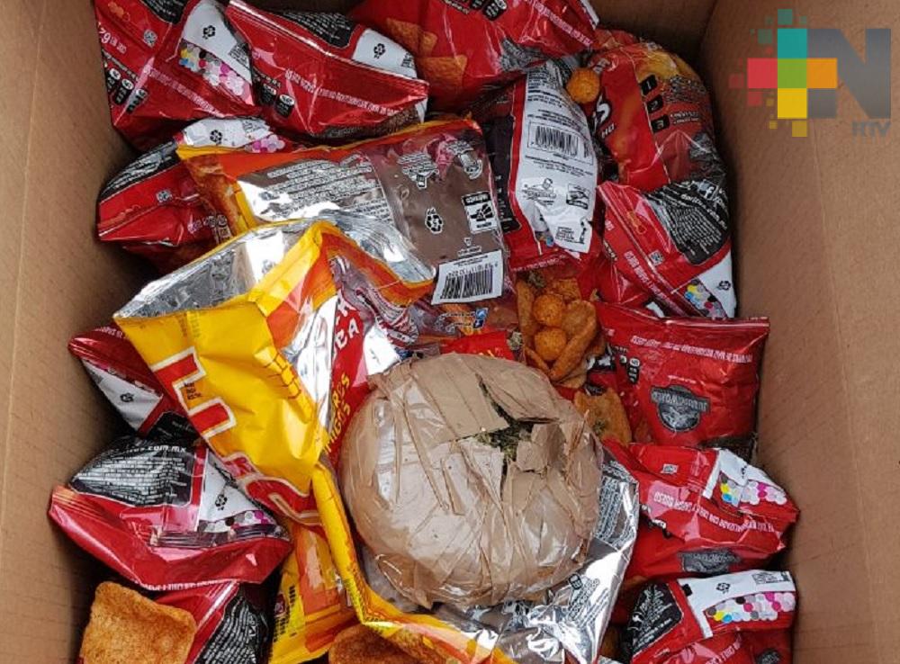 Aseguran media tonelada de marihuana en el recinto portuario de Coatzacoalcos